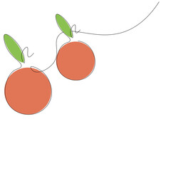 Orange fruit background, vector illustration