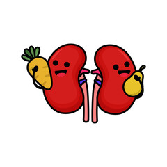 Cute kidney organ mascot design