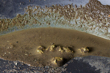 gold nuggets in a metal gold pan