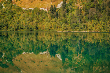 landscape with lake and forest