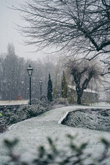 Beautiful garden covered in snow on winter Sunday morning