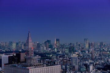 Fototapeta na wymiar 夜の東京　ビル群　都市景観