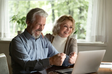 Overjoyed mature man and woman using laptop, chatting, making video call to relatives, excited elderly couple reading good news in email, celebrating online lottery win, enjoying leisure time