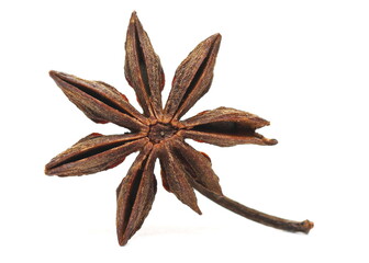 Single star anise isolated on white background, macro and clipping path