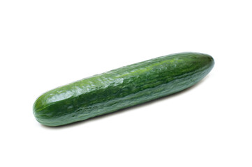 One cucumber on a white background