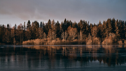 Nature photos from a large lake just outside Oslo, Norway. Bogstadvannet it is called. It is a cold day and the ice is glazing in the sunshine.  Shot in january.