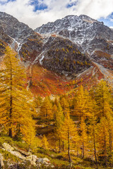 Arpy Lake and the surroundings area during the fall and changing of the colors. Foliage, reflection and snowy peaks.