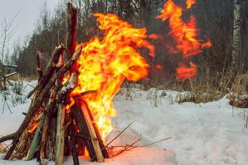 Bonfire of dry firewood in the snow on a cold winter day