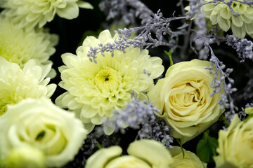 Roses with chrysanthemum close up