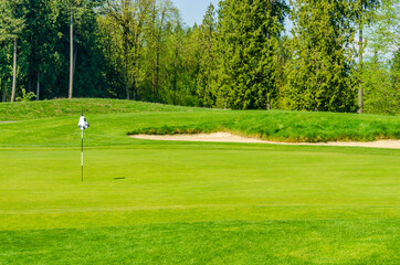 Obraz premium Golf course with flag and fantastic forest view.