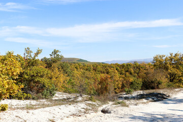 Beautiful autumn landscape with colorful trees and mountains in Crimea