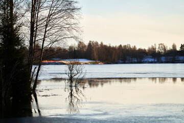 Nature photos from a large lake just outside Oslo, Norway. Bogstadvannet it is called. It is a cold day and the ice is glazing in the sunshine.  Shot in january.