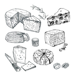 Hard cheese of different varieties illustration. Cheese drawing in retro style. Cheese with herbs vector illustration