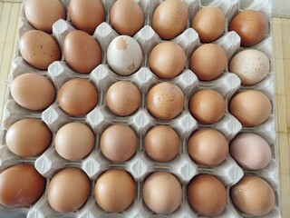 chicken eggs in carton box, from above