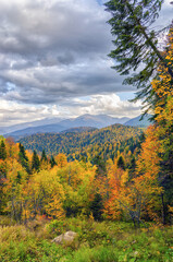 The mountain autumn landscape with colorful forest. Golden autumn in the forest. Caucasus mountains, Adygea, Russia