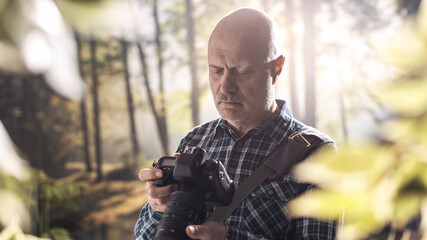 Wildlife photographer checking camera settings