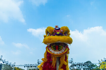 Lion dance - dragon & lion dance street performances. Yellow lion head with blue skies in...