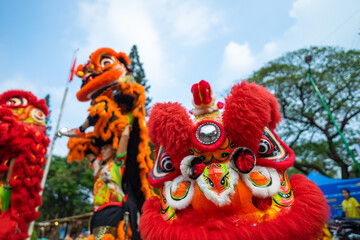 Dragon and lion dance show in chinese new year festival (Tet festival ), lion Dance - dragon & lion dance street performances in Vietnam
