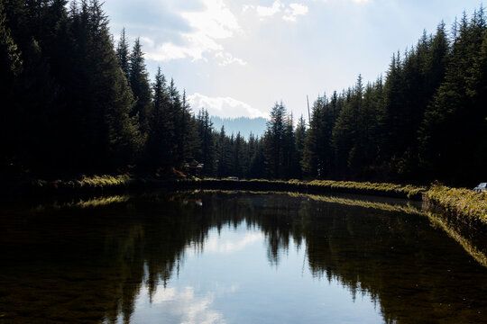 Various views of the Tani Jubaar Lake, Narkanda