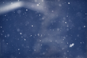 Blue snow background bokeh texture with snowflakes