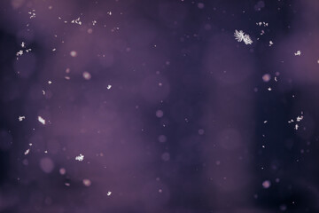 Obraz na płótnie Canvas Blue snow background bokeh texture with snowflakes
