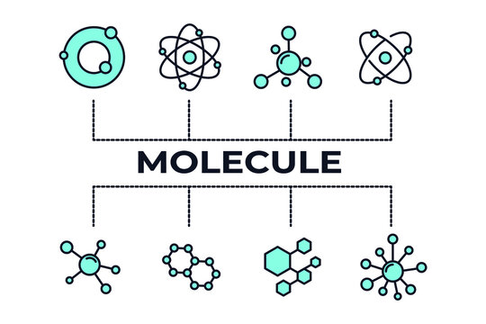 Molecule set icon template color editable. Molecule pack symbol vector illustration for graphic and web design.