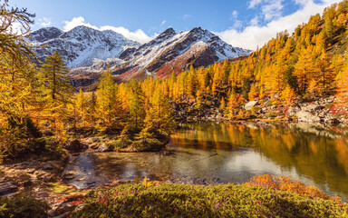 Arpy Lake and the surrounding area during the fall and changing of the colors. Foliage, reflection and snowy peaks