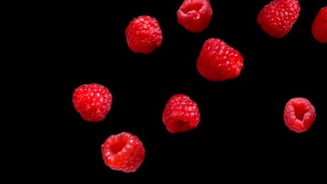 Red ripe juicy raspberries are falling down diagonally on a black background in slow motion