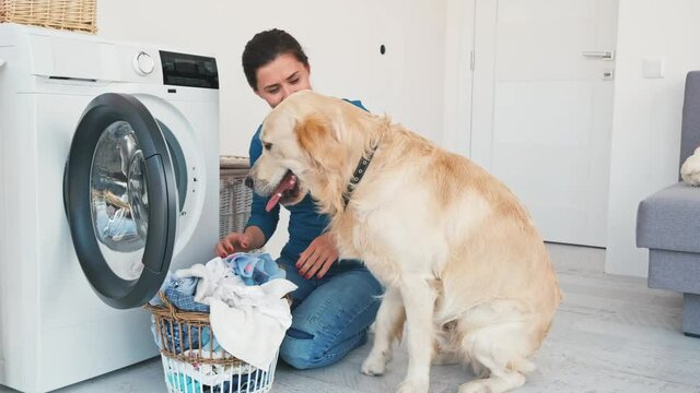 Woman with golden retriever dog loading dirty clothes into washing machine at home