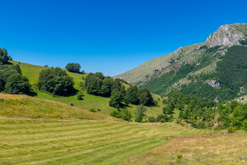 landscape in the mountains