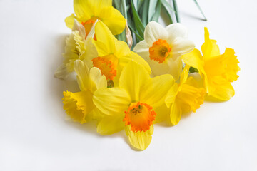 Beautiful bouquet of yellow daffodils on white background; Easter holiday greeting card