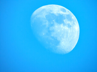 Naklejka premium Lune en plein jour avec un ciel bleu