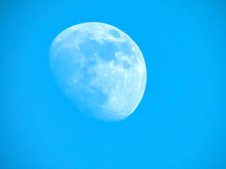 Lune en plein jour avec un ciel bleu