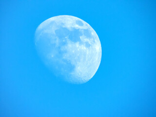 Lune en plein jour avec un ciel bleu