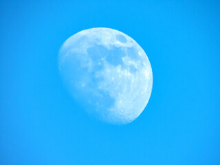 Lune en plein jour avec un ciel bleu