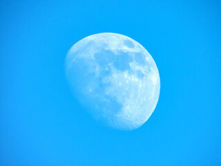Lune en plein jour avec un ciel bleu