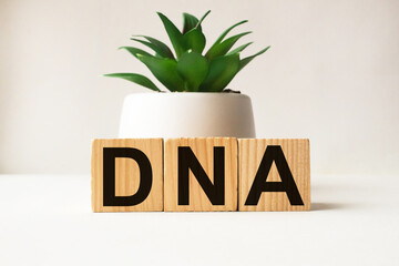 word DNA on wooden blocks. medical concept . the medicine