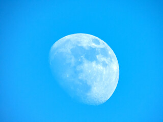 Lune en plein jour avec un ciel bleu