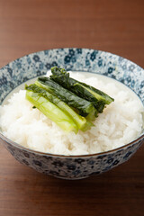 野沢菜漬とごはん