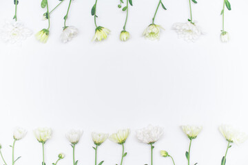 white chrysanthemum flowers on a white background. Top view. Copy space. Space for the text. The concept of the holiday.	