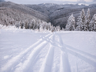 Fototapeta na wymiar Ski track on fresh snow. Winter sports background