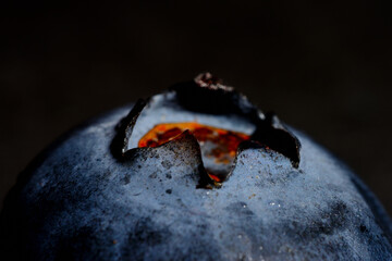 blueberry close-up macro fruit picture