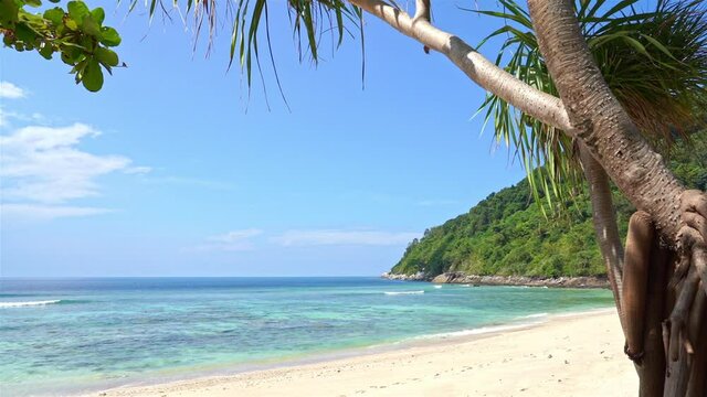 Empty Exotic Beach,Tropical Sea and Green Rainforest on Sunny Day, Slow Motion