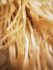 Hair of a leek in close-up