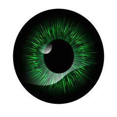 eyes, renita and green pupila