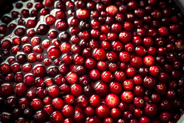 red cranberries background