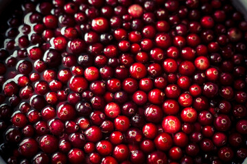 red cranberries background