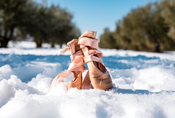 Close-up of pink ballet slippers stuck in the snow in an olive tree field © C&A