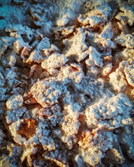 frangipane sugary pie in close-up