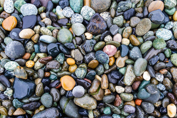 Colorful smooth rocks on the beach covered in water.